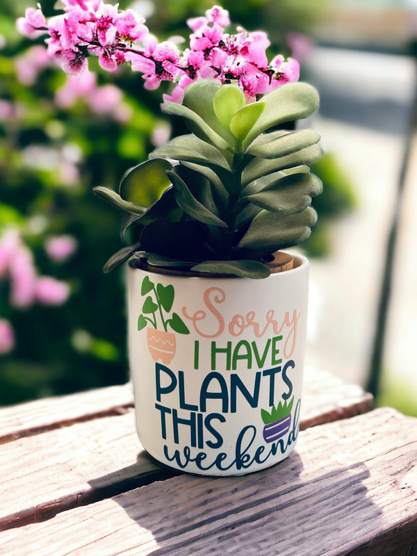 Funny Plant Pot, Plant Pot, Succulent Pot, Plant Pot Cover