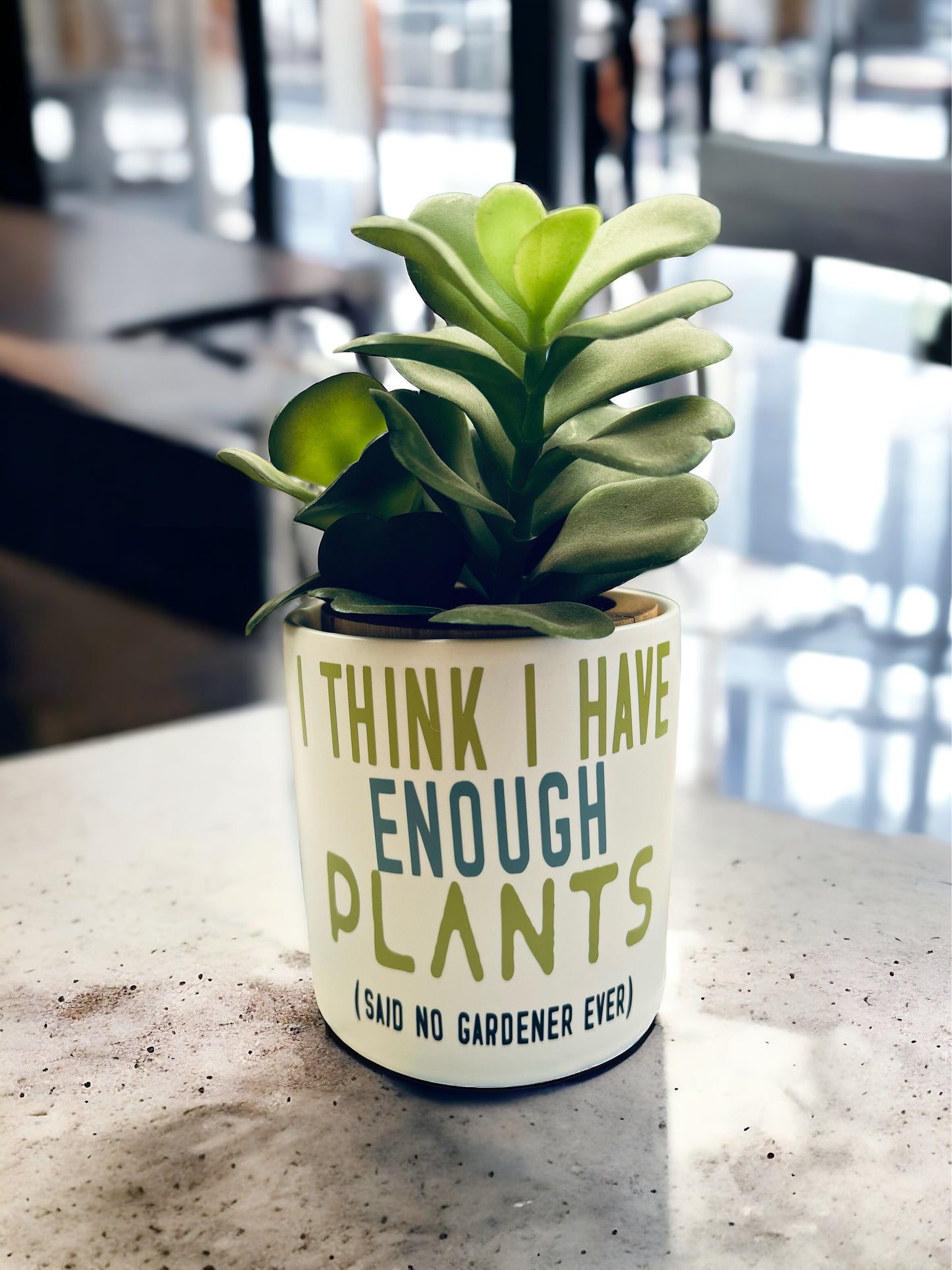 Funny Plant Pot, Plant Pot, Succulent Pot, Plant Pot Cover