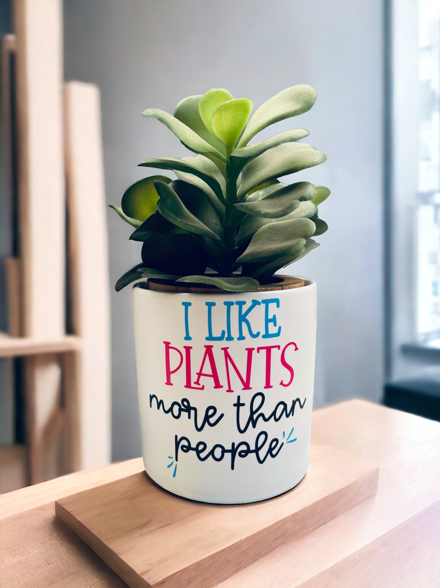 Funny Plant Pot, Plant Pot, Succulent Pot, Plant Pot Cover