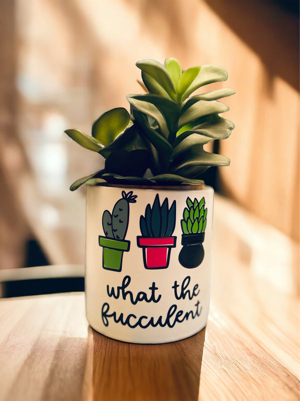 Funny Plant Pot, Plant Pot, Succulent Pot, Plant Pot Cover