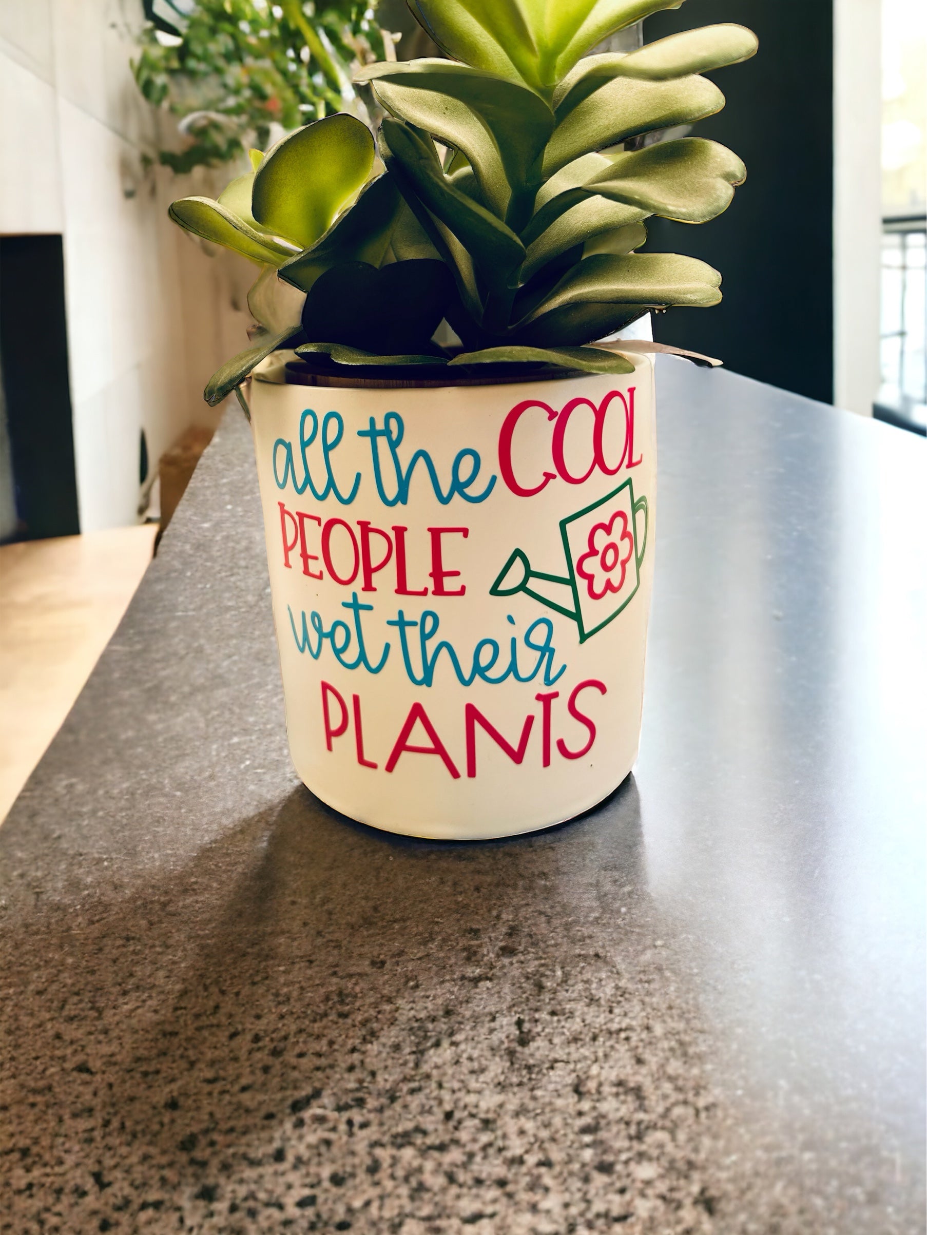 Funny Plant Pot, Plant Pot, Succulent Pot, Plant Pot Cover