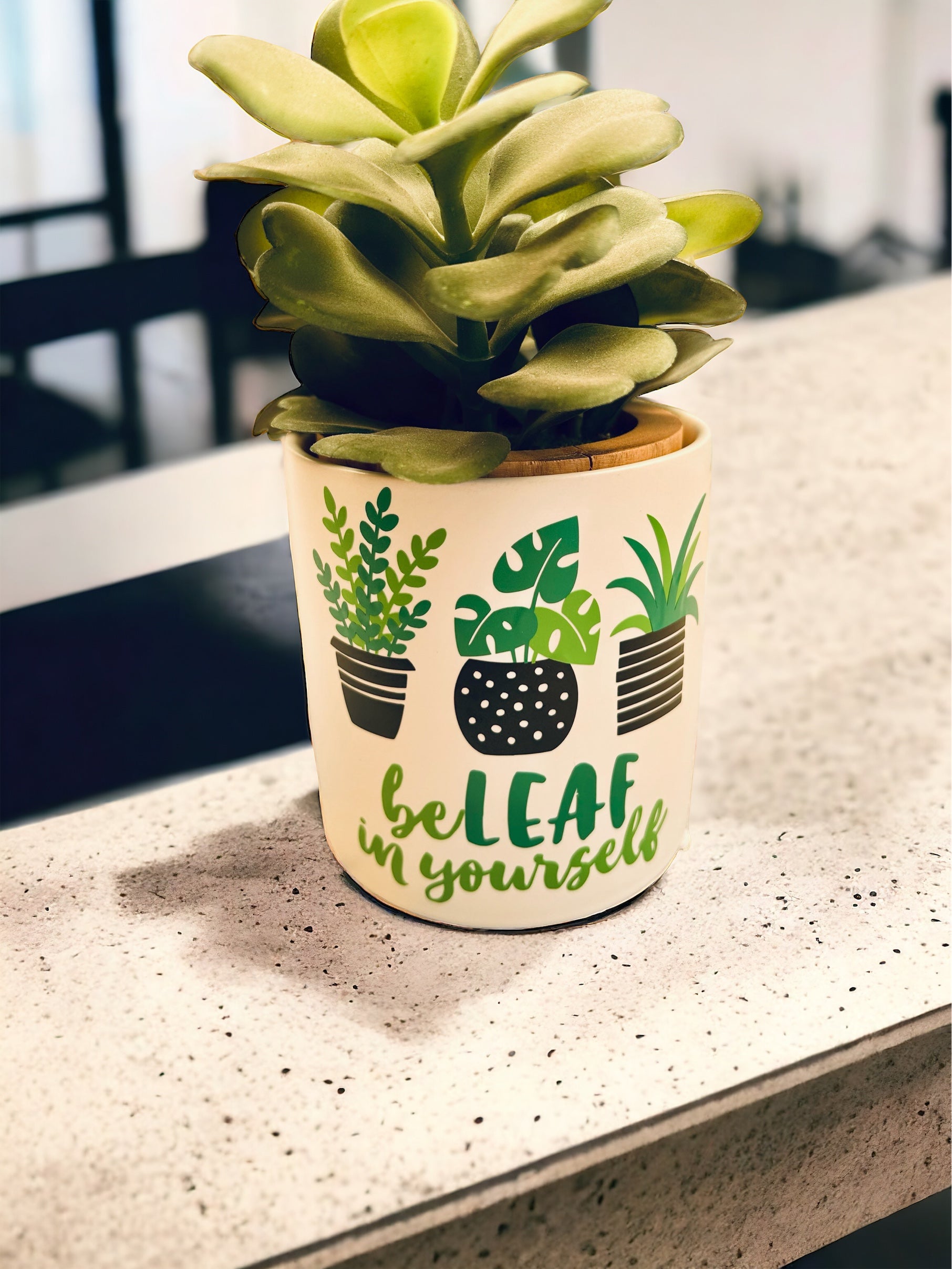 Funny Plant Pot, Plant Pot, Succulent Pot, Plant Pot Cover