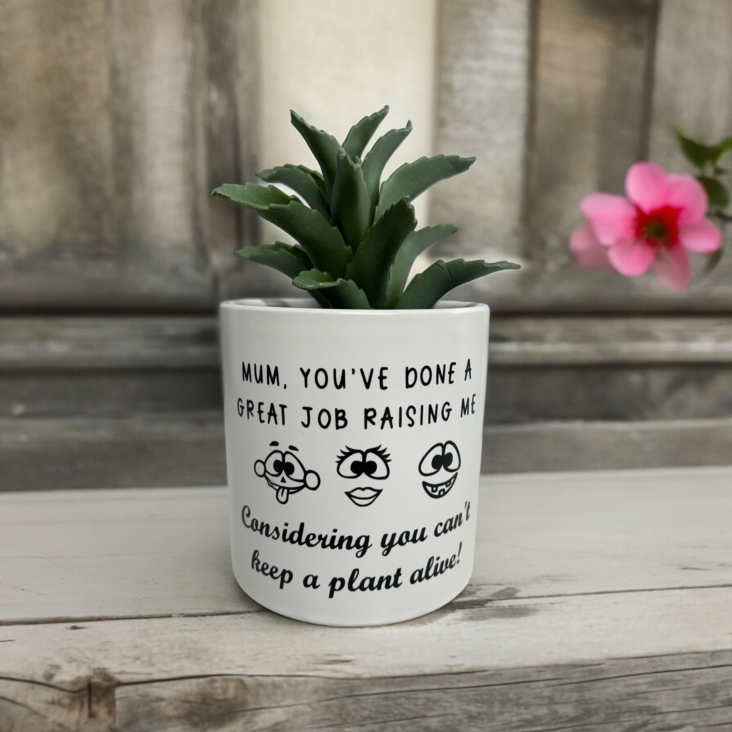 Plant Pot, Humorous Plant pot, Succulent Pot, Gift Idea, Ceramic Plant Pot