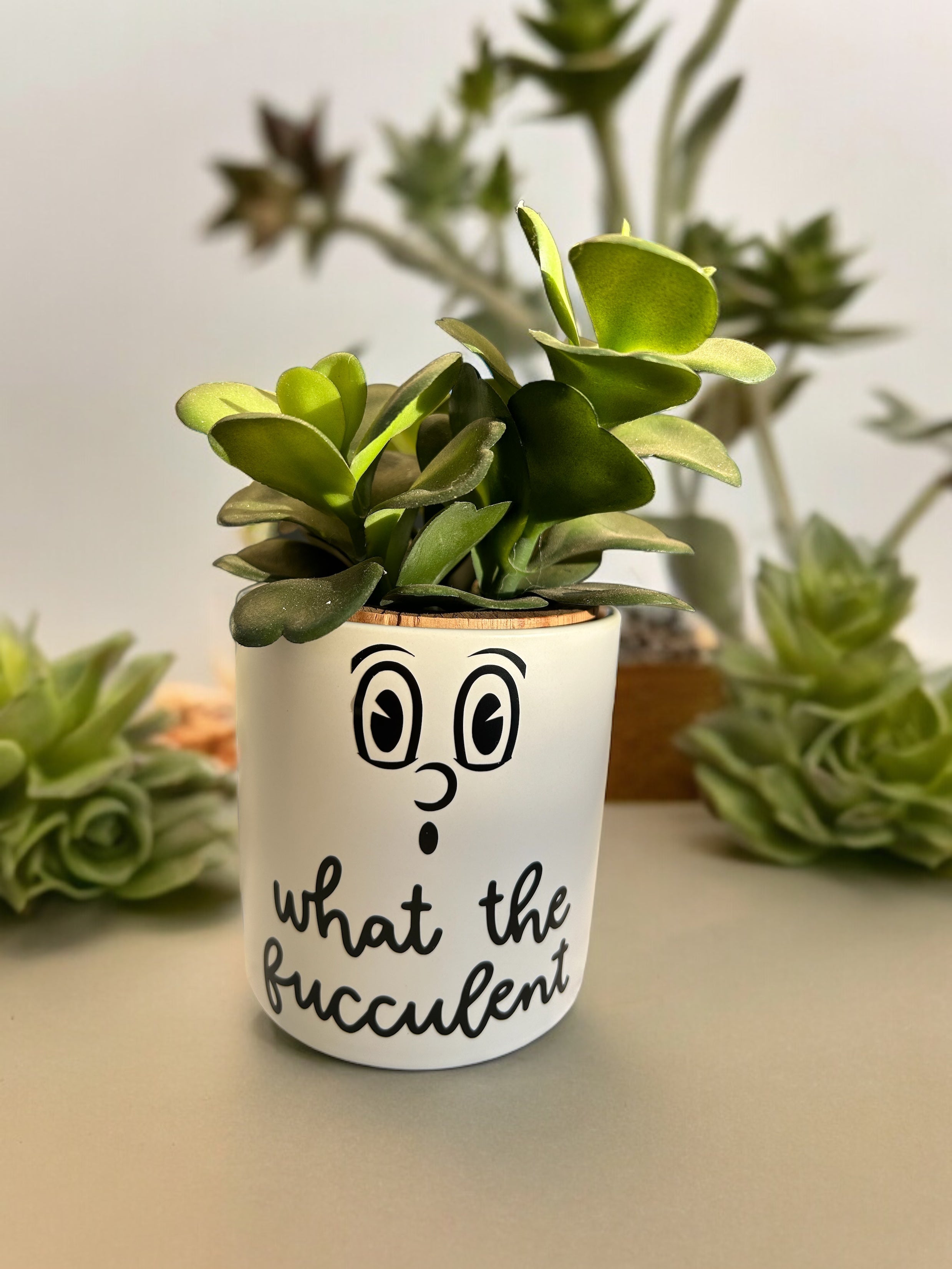 Funny Plant Pot, Plant Pot, Succulent Pot, Plant Pot Cover