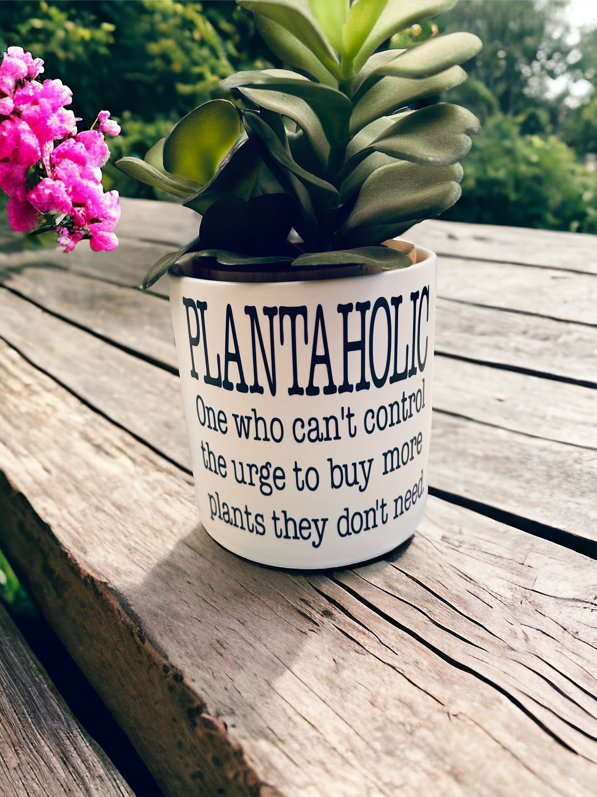 Funny Plant Pot, Plant Pot, Succulent Pot, Plant Pot Cover