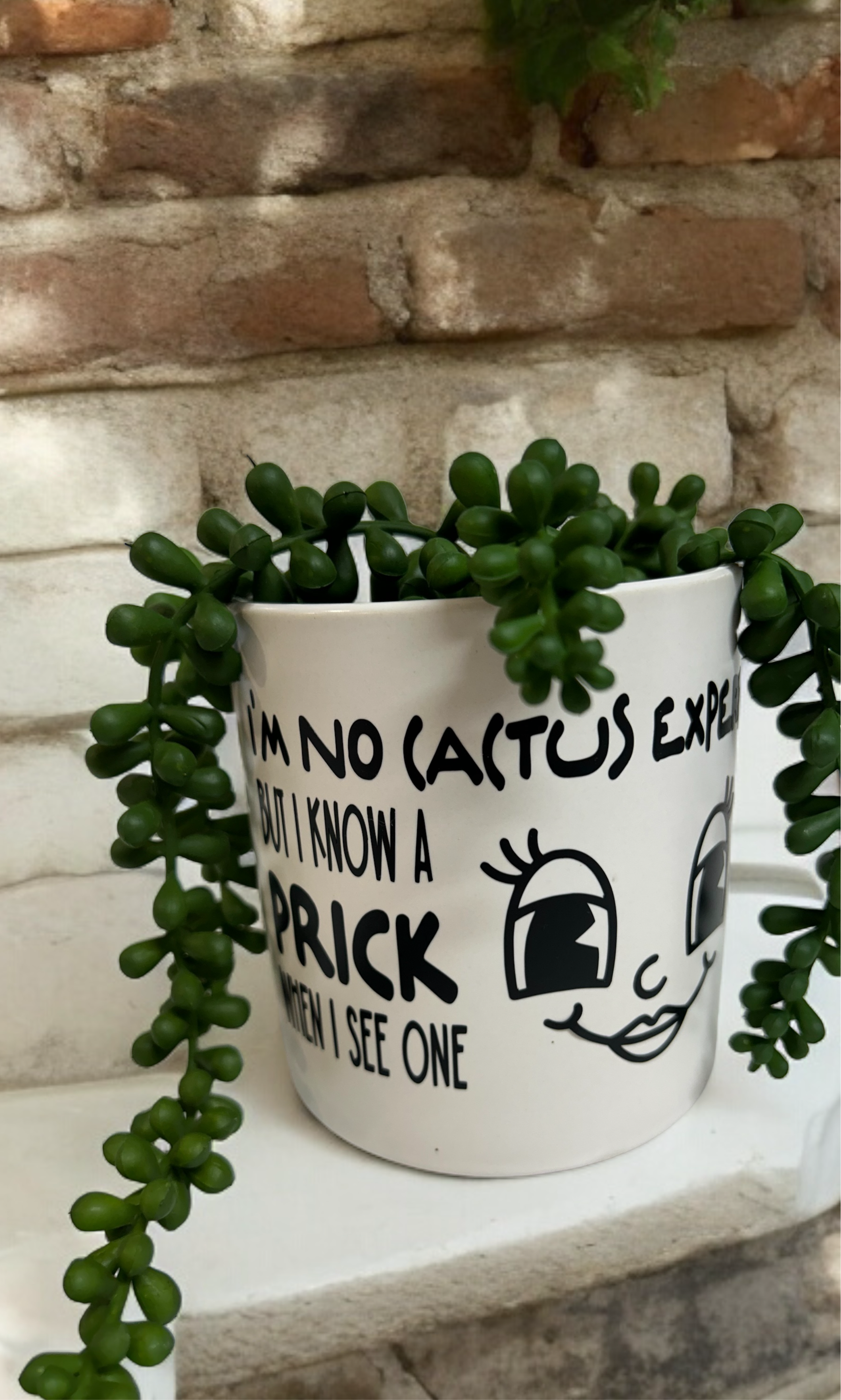 Funny Plant Pot, Plant Pot, Succulent Pot, Plant Pot Cover