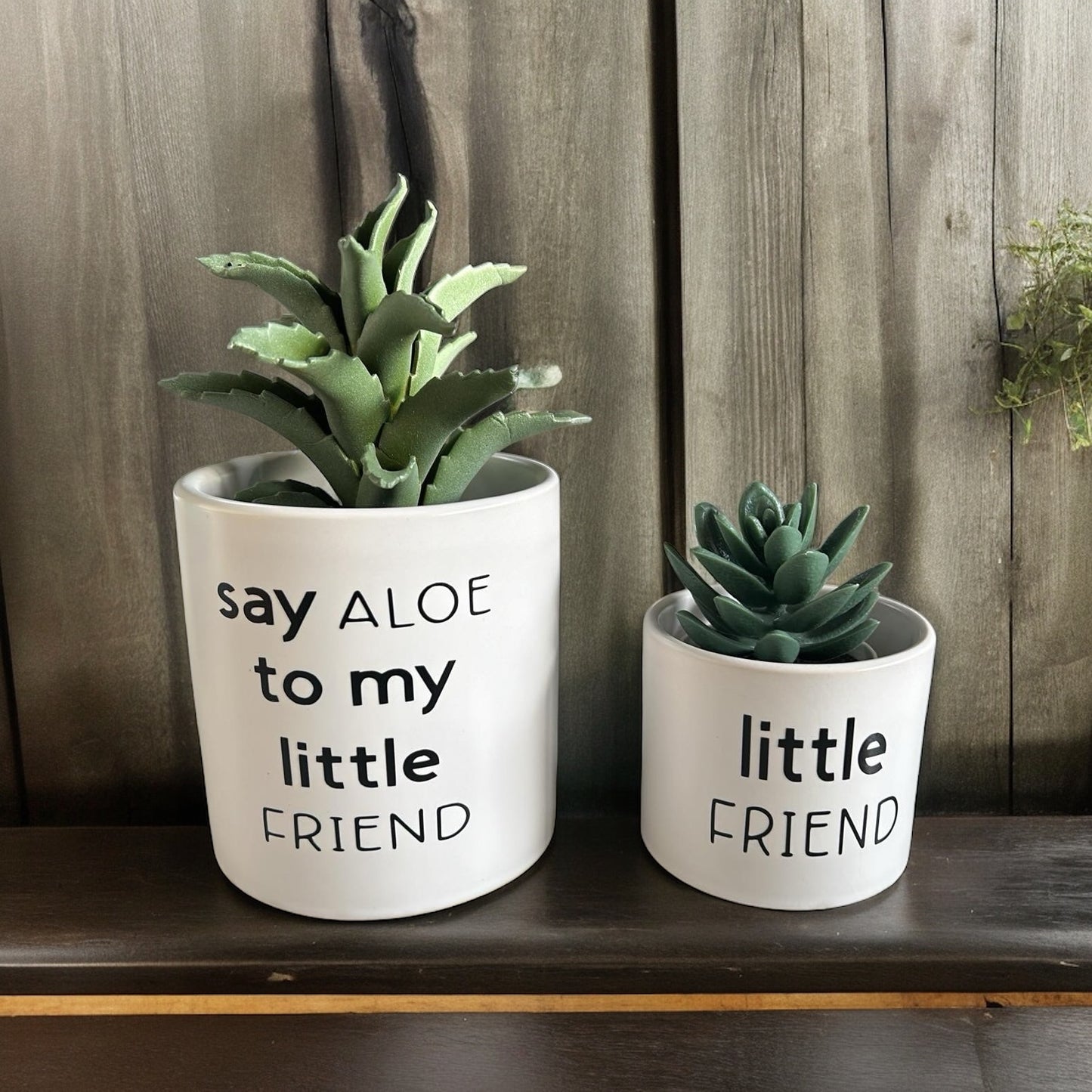 Funny Plant Pot, Funny Plant Pot Pair, Plant Pots, Succulent Pots