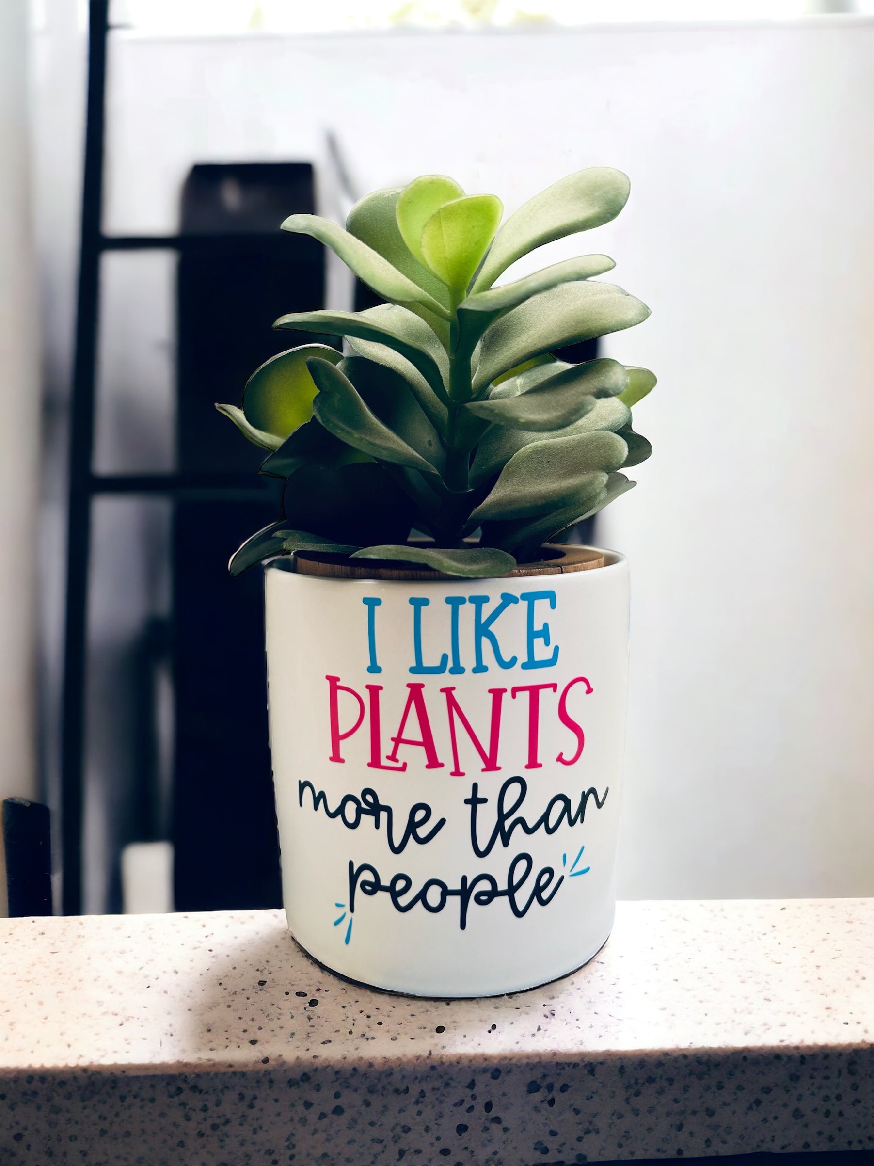 Funny Plant Pot, Plant Pot, Succulent Pot, Plant Pot Cover