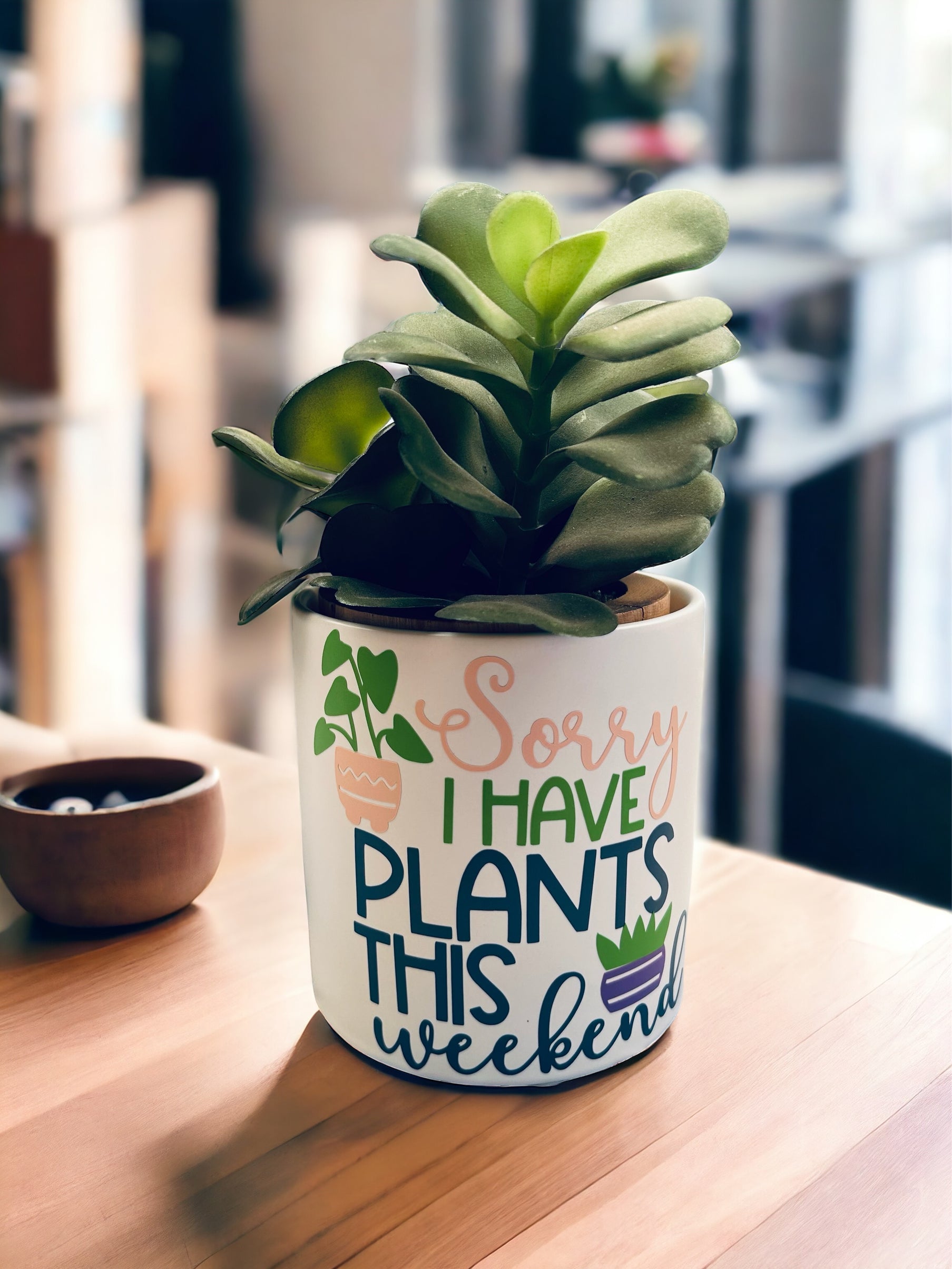 Funny Plant Pot, Plant Pot, Succulent Pot, Plant Pot Cover