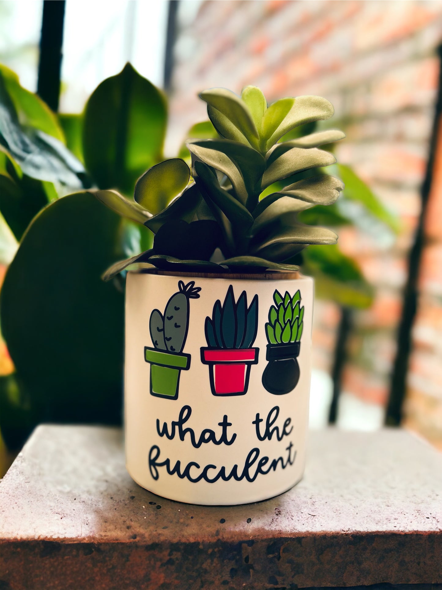 Funny Plant Pot, Plant Pot, Succulent Pot, Plant Pot Cover