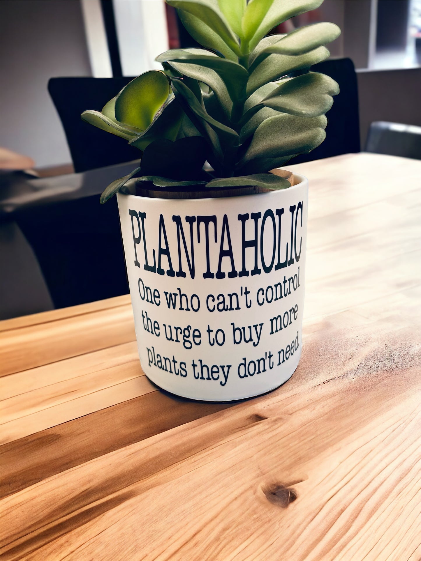 Funny Plant Pot, Plant Pot, Succulent Pot, Plant Pot Cover