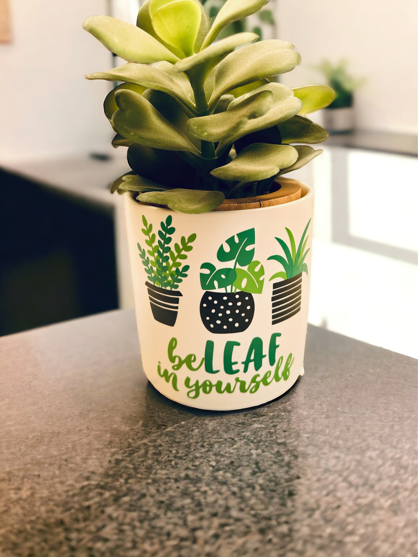 Funny Plant Pot, Plant Pot, Succulent Pot, Plant Pot Cover