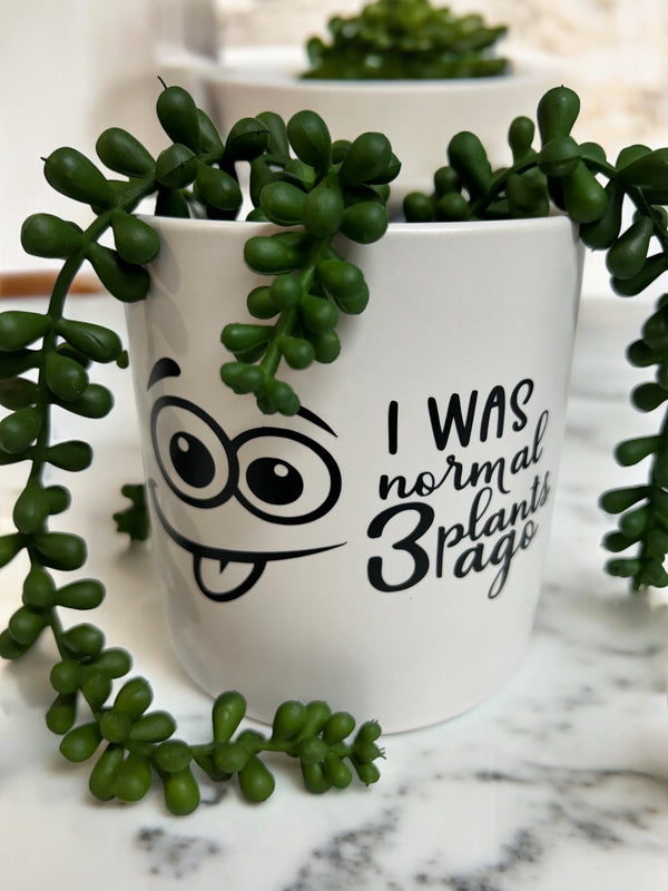 Funny Plant Pot, Plant Pot, Succulent Pot, Plant Pot Cover