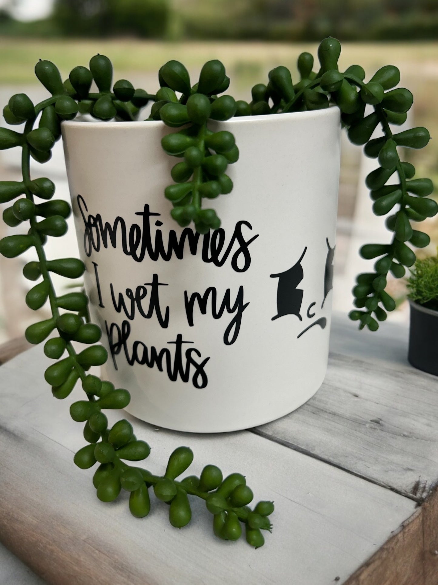 Funny Plant Pot, Plant Pot, Succulent Pot, Plant Pot Cover