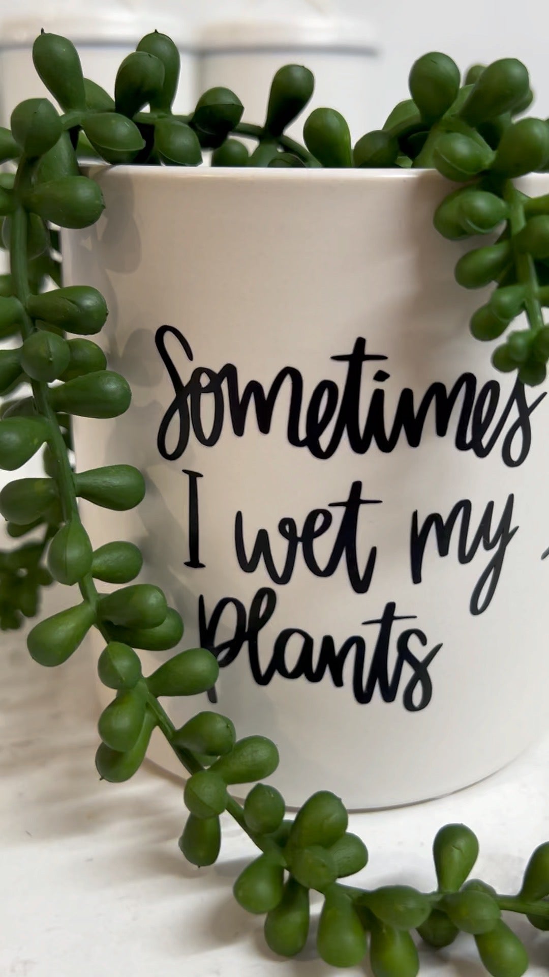 Funny Plant Pot, Plant Pot, Succulent Pot, Plant Pot Cover