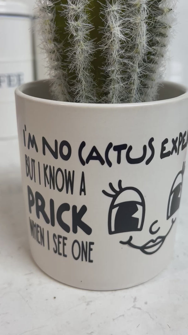 Funny Plant Pot, Plant Pot, Succulent Pot, Plant Pot Cover